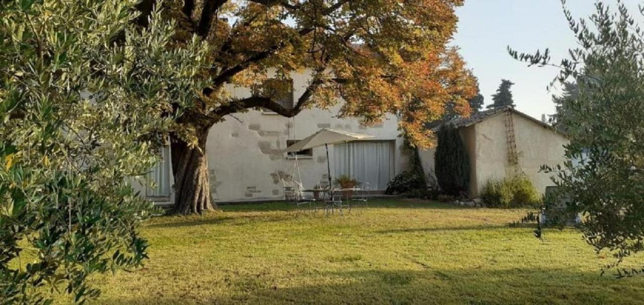 Le Petit Mas En Provence Avec Piscine Villa Barbentane Kültér fotó
